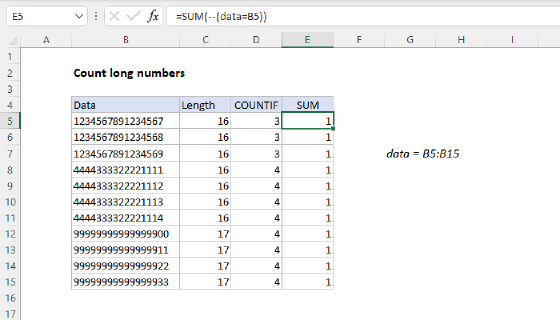 Excel Count long numbers