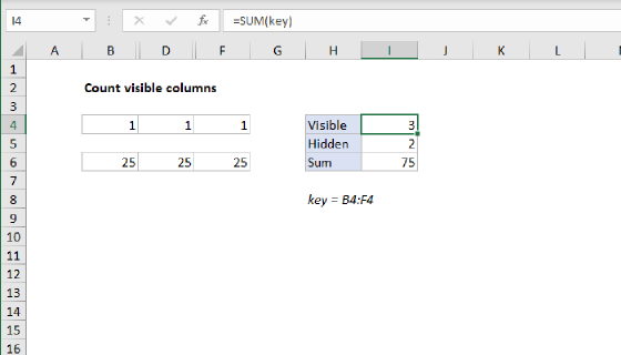 Excel Count visible columns