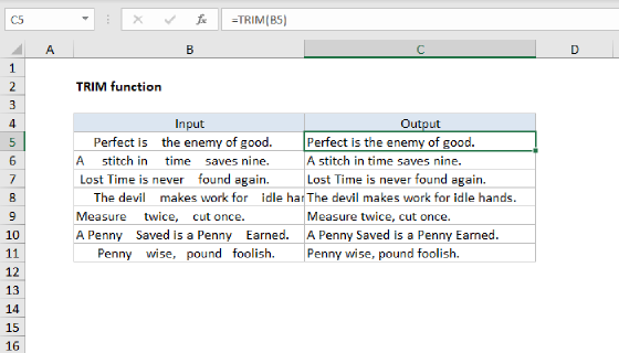 Excel TRIM Function