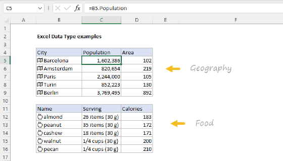 Data Type