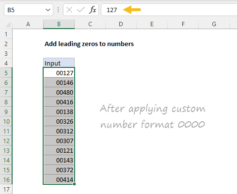 Numeric values unchanged by number format