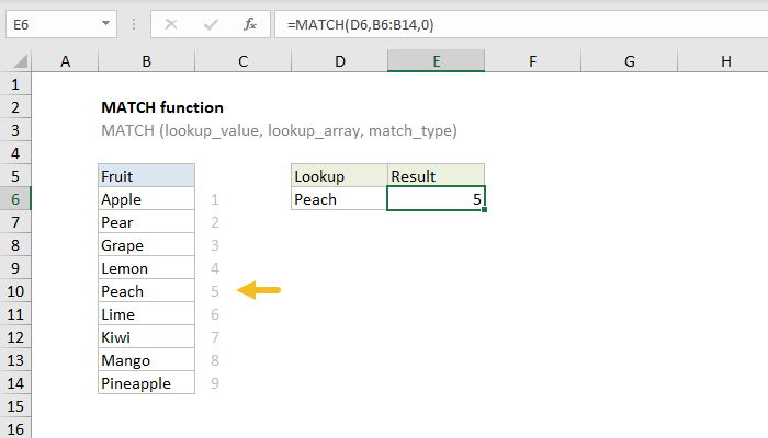 excel custom format for mac address