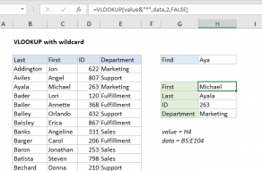 Excel formula: Partial match with VLOOKUP