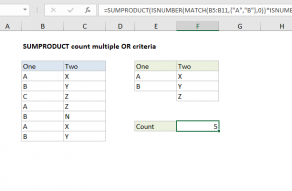 Excel formula: SUMPRODUCT count multiple OR criteria