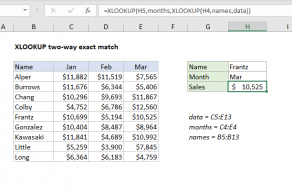 Excel formula: XLOOKUP two-way exact match