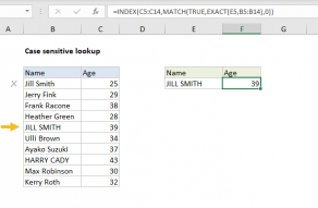 Excel formula: Case sensitive lookup