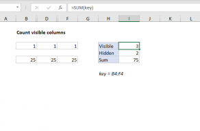 Excel formula: Count visible columns