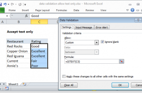 Excel formula: Data validation allow text only