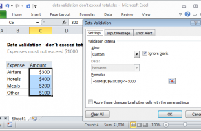 Excel formula: Data validation don't exceed total