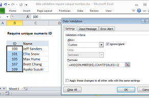 Excel formula: Data validation require unique number