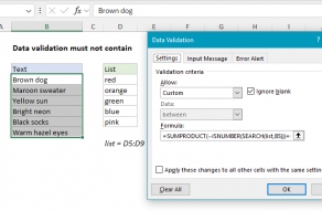 Excel formula: Data validation must not contain
