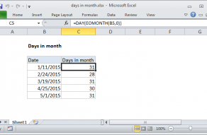 Excel formula: Days in month