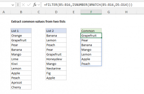 Excel formula: Extract common values from two lists
