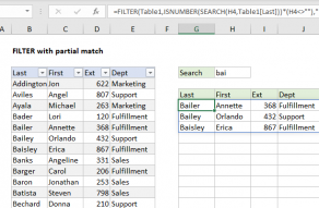 Excel formula: FILTER with partial match