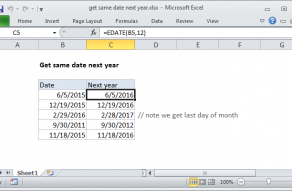 Excel formula: Get same date next year