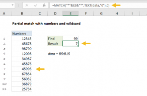 Excel formula: Partial match with numbers and wildcard