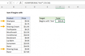 Excel formula: Sum if begins with