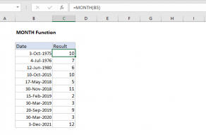 Excel MONTH function