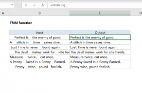 Excel TRIM function