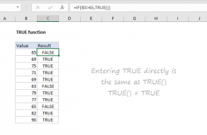 Excel TRUE function