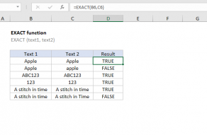 Excel EXACT function