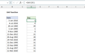 Excel DAY function