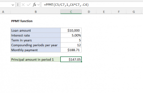 Excel PPMT function