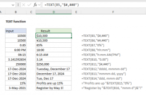 Excel TEXT function