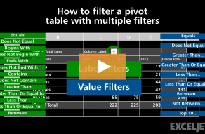 Video thumbnail for How to filter a pivot table with multiple filters