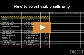 Excel Shortcut  Select visible cells only - 87