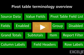 Video thumbnail for Pivot Table Terminology