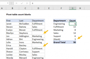 pivot table assignment pdf