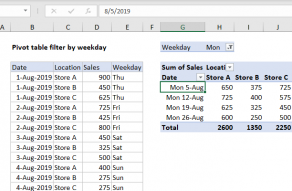 pivot table assignment pdf