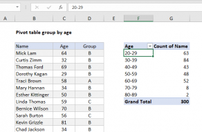 pivot table assignment pdf