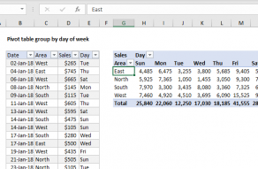 pivot table assignment pdf