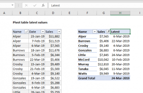 pivot table assignment pdf