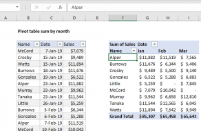 pivot table assignment pdf