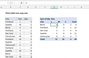 pivot table assignment pdf