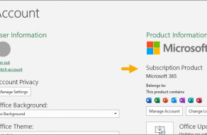Excel Subscription Information at File > Account
