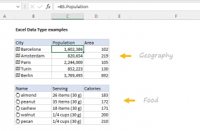 Excel Data Type examples