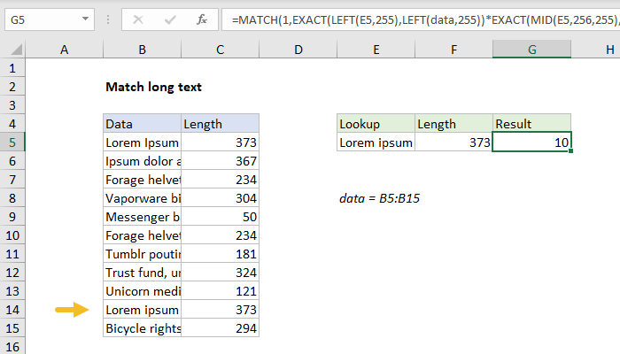 Excel formula: Match long text