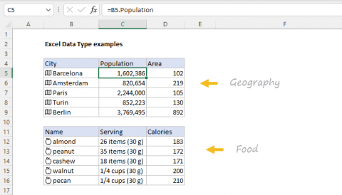 Excel Data Type examples