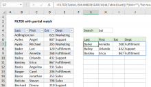 Excel formula: FILTER with partial match
