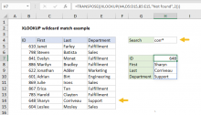 Excel formula: XLOOKUP wildcard match example