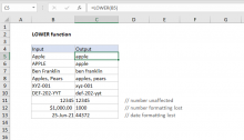 Excel LOWER function