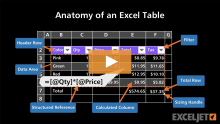 Video thumbnail for Anatomy of an Excel Table