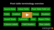 Video thumbnail for Pivot Table Terminology