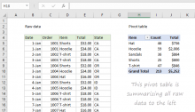 Example of Excel Pivot Table together with raw data