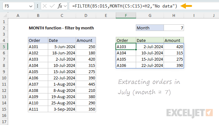 MONTH function example - filter by month