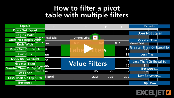 How to filter a pivot table with multiple filters